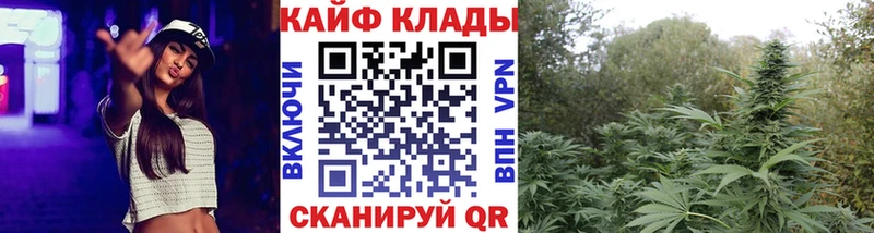 Наркотические вещества Кировград Гашиш  omg вход  МЕФ  А ПВП 