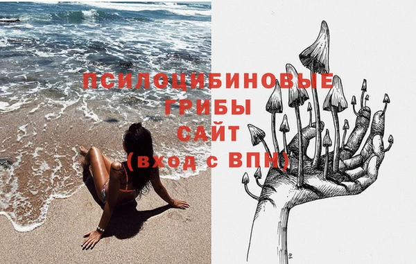 mdma Богданович