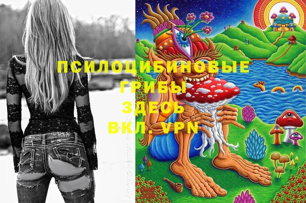 кокаин Богородицк